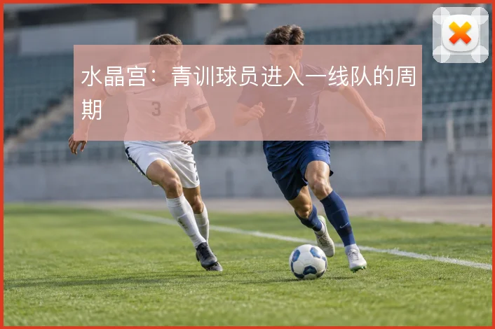 水晶宫:青训球员进入一线队的周期