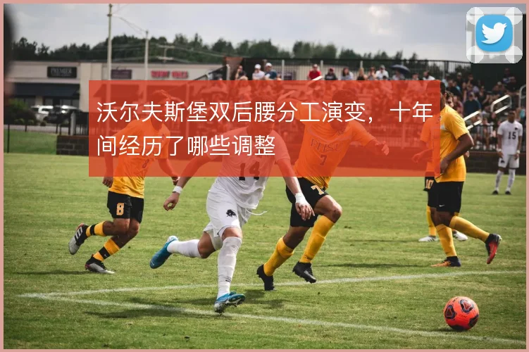 沃尔夫斯堡双后腰分工演变，十年间经历了哪些调整