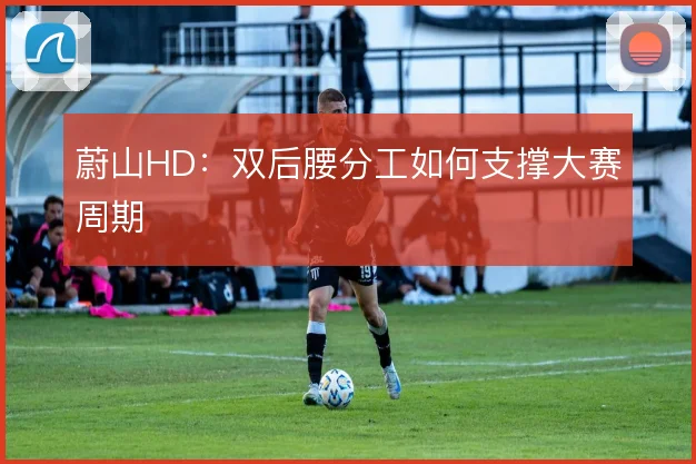 蔚山HD:双后腰分工如何支撑大赛周期